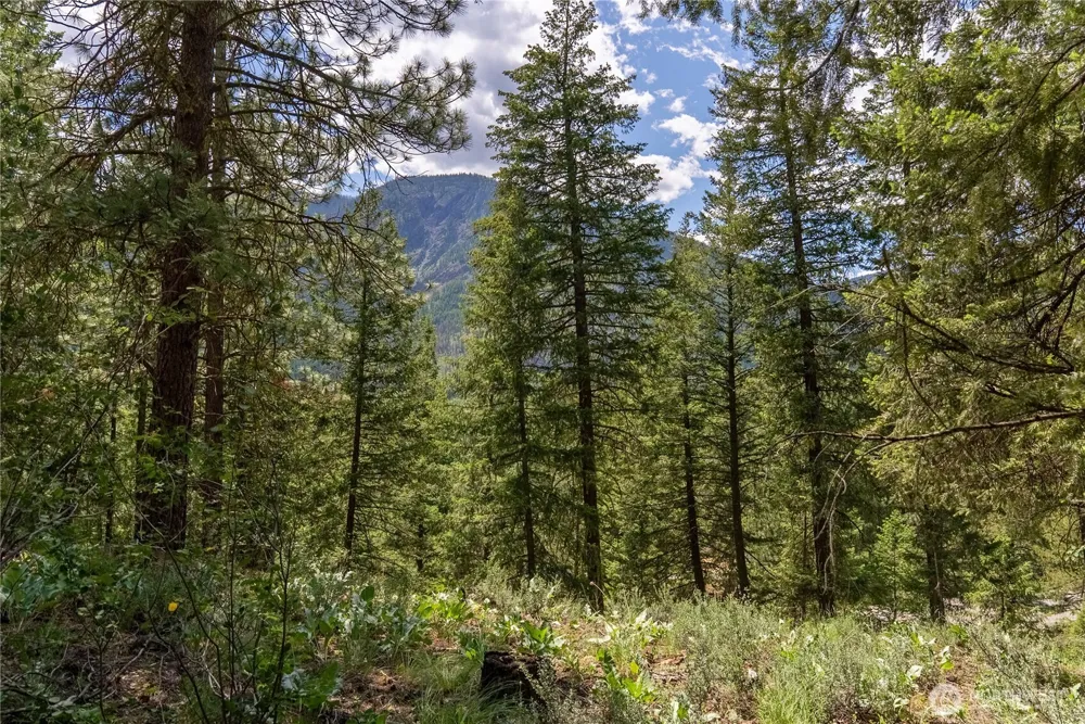 6 Homestead Road Winthrop, WA 98862