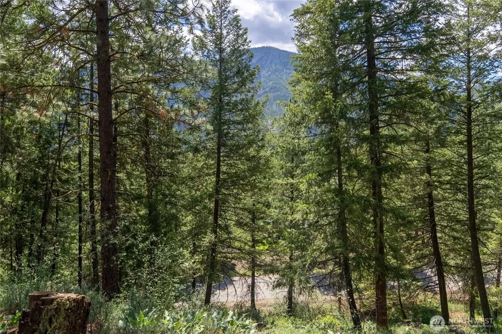 6 Homestead Road Winthrop, WA 98862