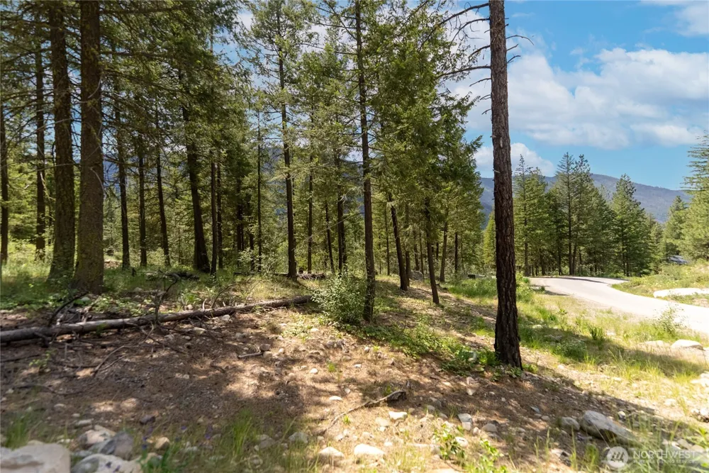 6 Homestead Road Winthrop, WA 98862