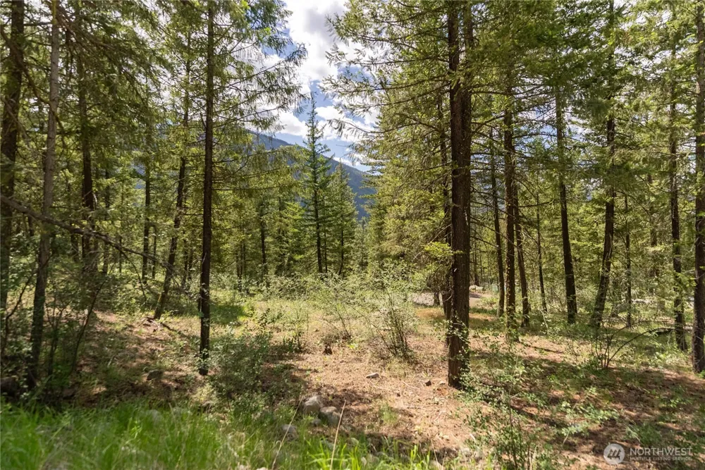 6 Homestead Road Winthrop, WA 98862