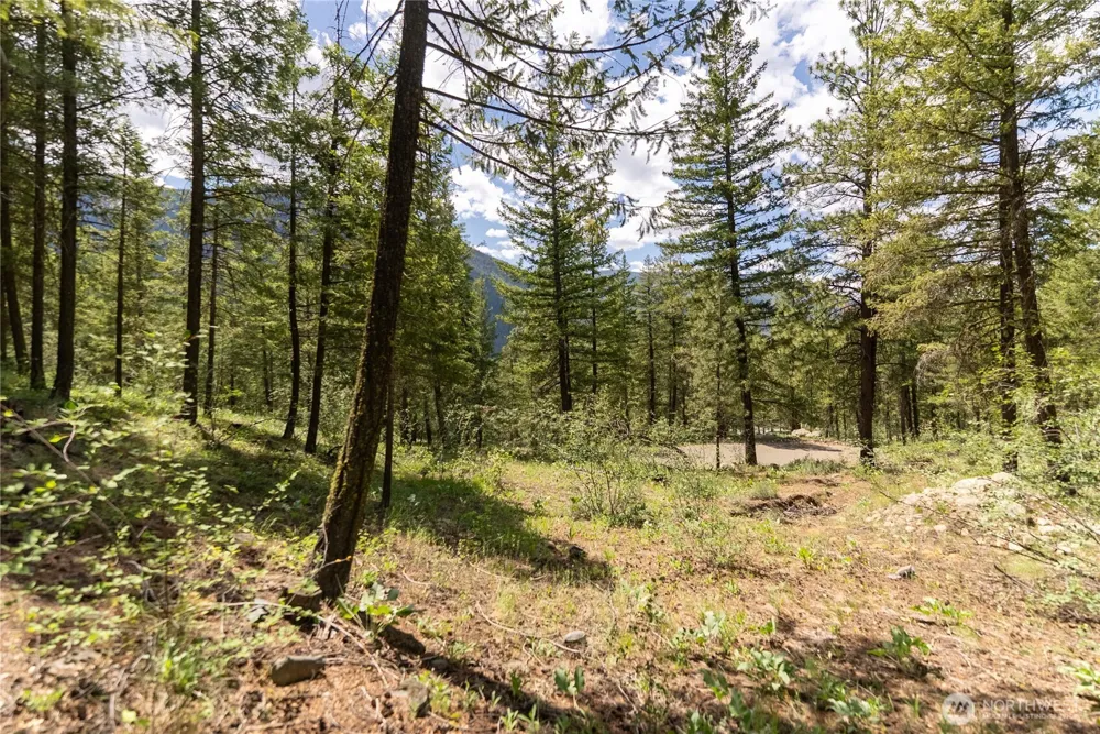 6 Homestead Road Winthrop, WA 98862