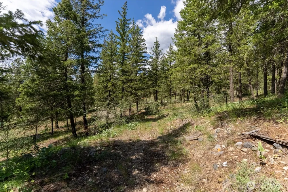 6 Homestead Road Winthrop, WA 98862