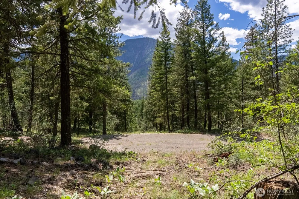 6 Homestead Road Winthrop, WA 98862