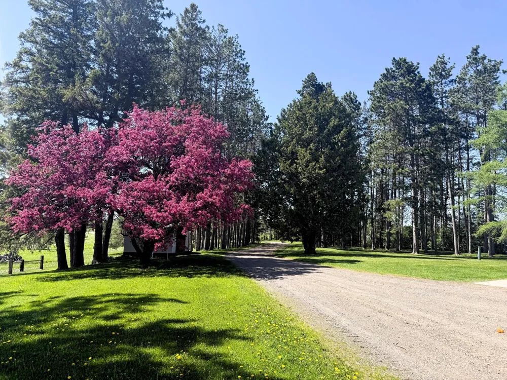 6778 Adelsgruber Drive Kettle River, MN 55757