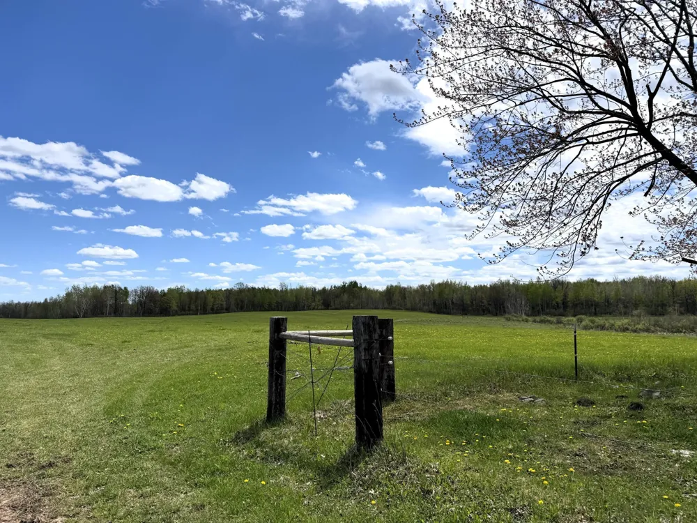 6778 Adelsgruber Drive Kettle River, MN 55757