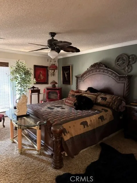 2601 Murphys Grade Road Murphys, CA 95247