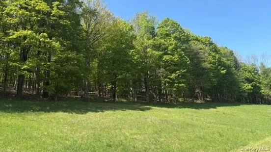52 E Hill Road Jeffersonville, NY 12748