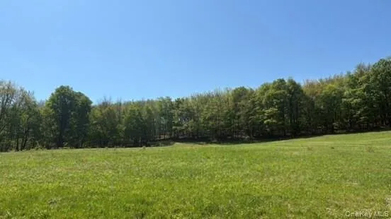 52 E Hill Road Jeffersonville, NY 12748
