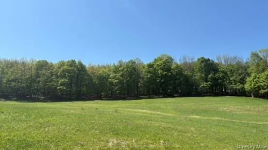52 E Hill Road Jeffersonville, NY 12748