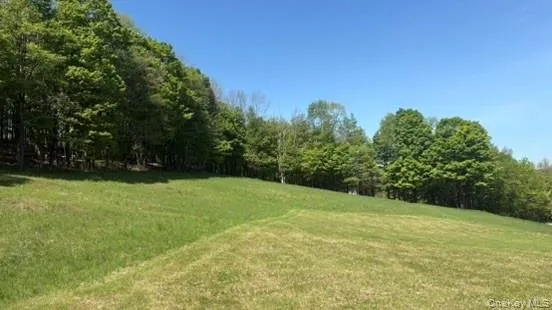 52 E Hill Road Jeffersonville, NY 12748