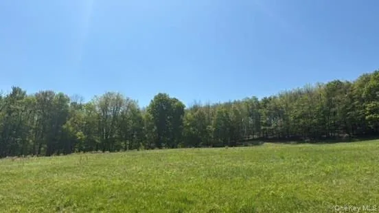 52 E Hill Road Jeffersonville, NY 12748