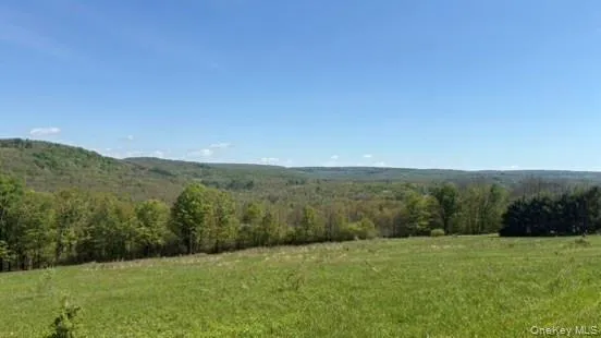 52 E Hill Road Jeffersonville, NY 12748