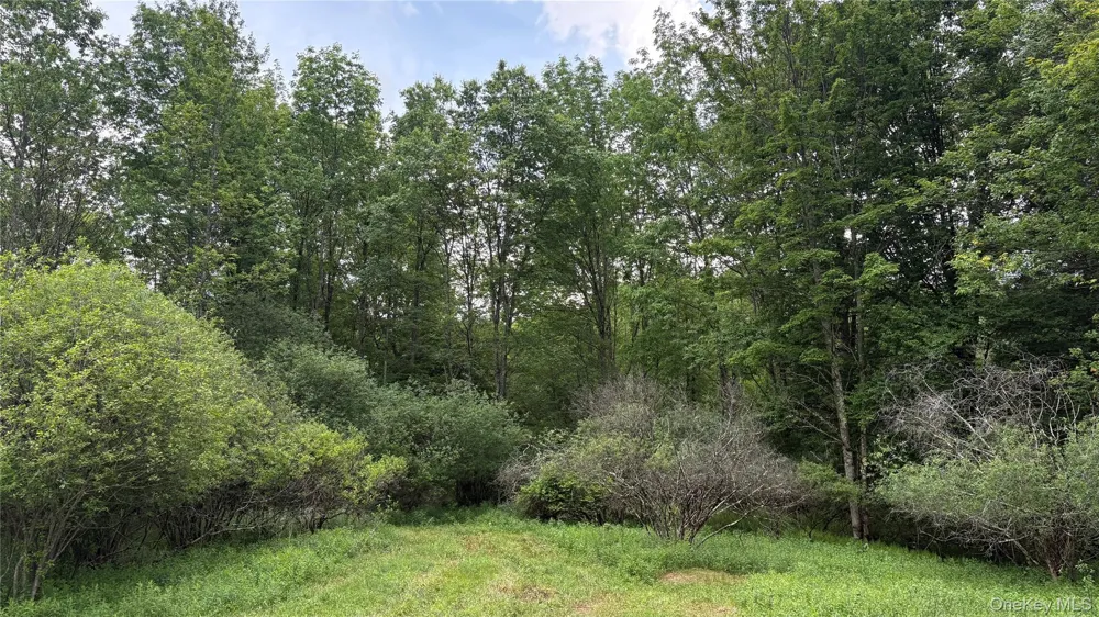52 E Hill Road Jeffersonville, NY 12748