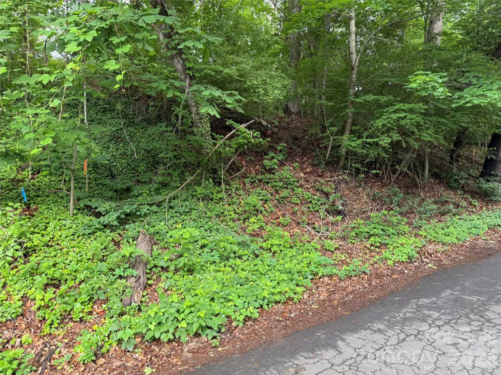 87 Iris Street Asheville, NC 28803