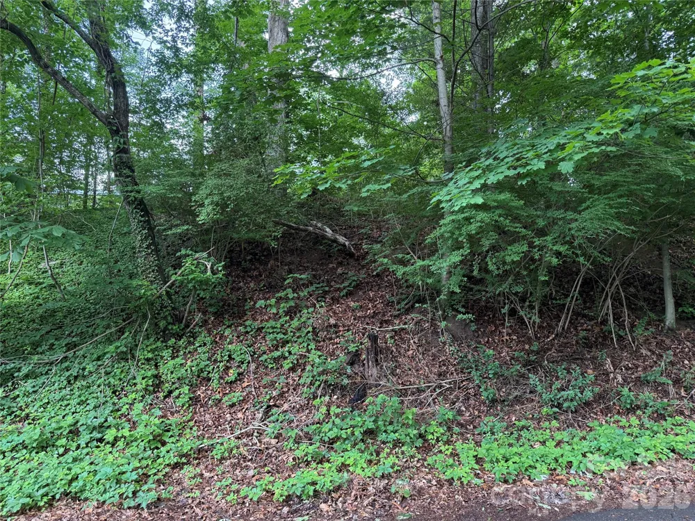89 Iris Street Asheville, NC 28803
