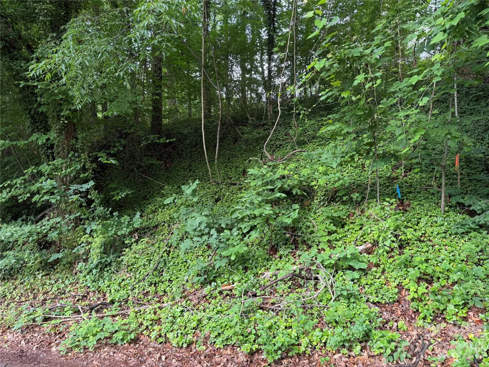 89 Iris Street Asheville, NC 28803