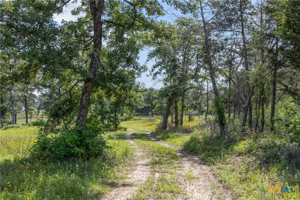 305 Cistern Road Rosanky, TX 78953
