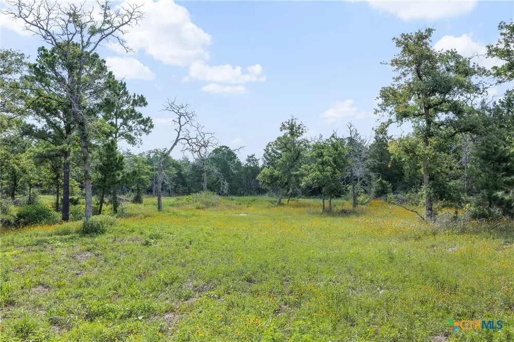 305 Cistern Road Rosanky, TX 78953