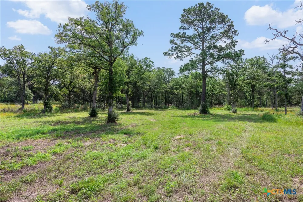 305 Cistern Road Rosanky, TX 78953