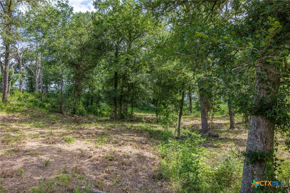 305 Cistern Road Rosanky, TX 78953