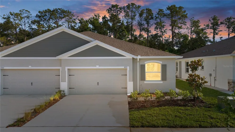 31351 PAPER BIRCH STREET Wesley Chapel, FL 33545