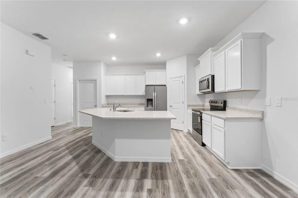 31351 PAPER BIRCH STREET Wesley Chapel, FL 33545