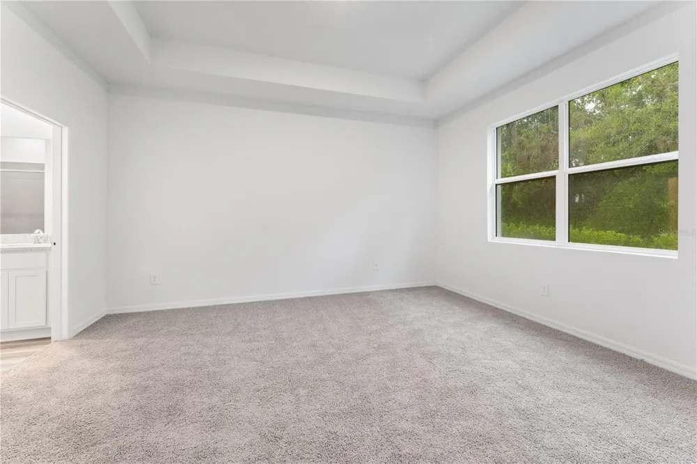 31351 PAPER BIRCH STREET Wesley Chapel, FL 33545