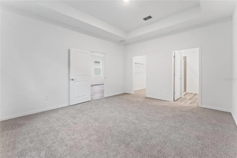 31351 PAPER BIRCH STREET Wesley Chapel, FL 33545