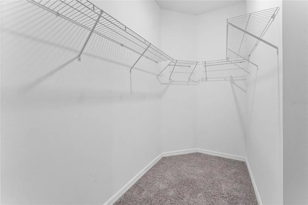 31351 PAPER BIRCH STREET Wesley Chapel, FL 33545
