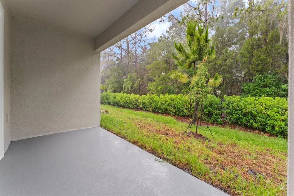 31351 PAPER BIRCH STREET Wesley Chapel, FL 33545