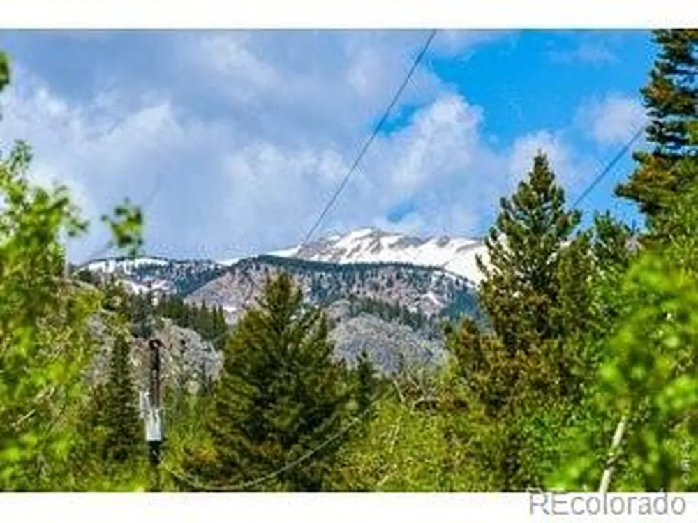 702 Bryan Avenue Nederland, CO 80466