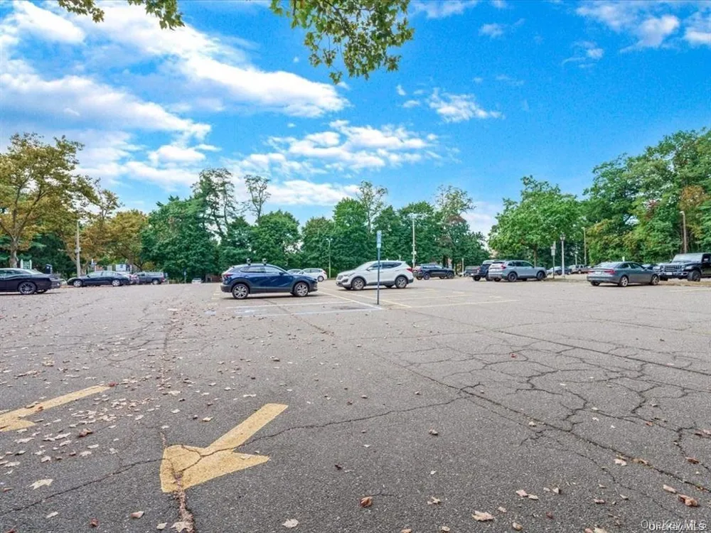 56 Edwards Street #2B Roslyn Heights, NY 11577
