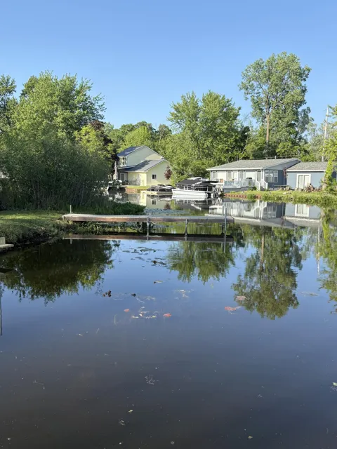 Willow Drive