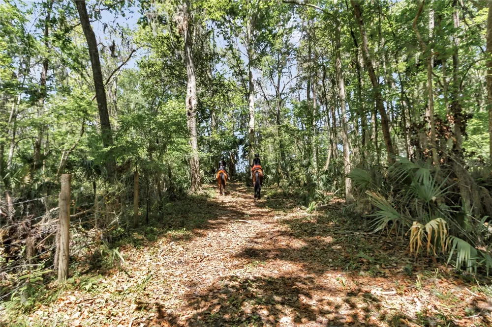 7000 NW HWY 320 Micanopy, FL 32667