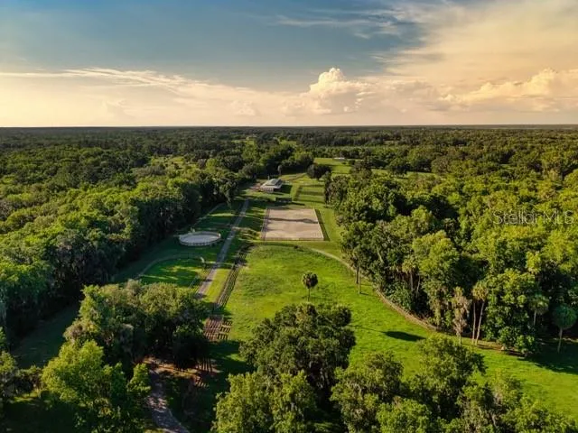 7000 NW HWY 320 Micanopy, FL 32667