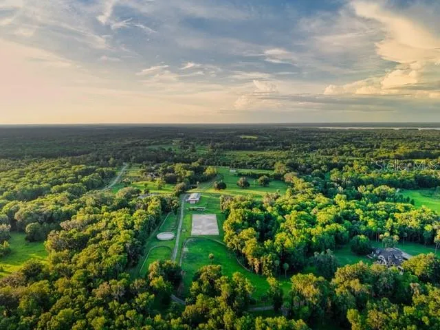 7000 NW HWY 320 Micanopy, FL 32667
