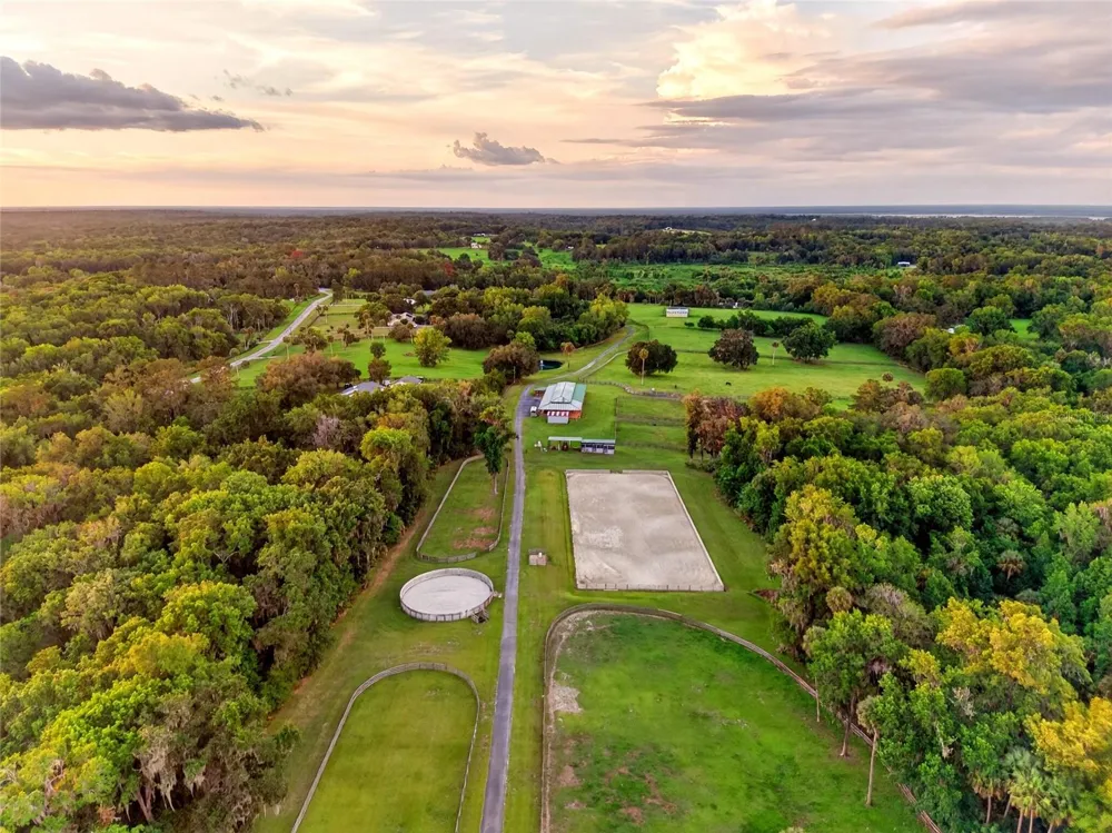 7000 NW HWY 320 Micanopy, FL 32667
