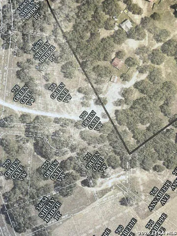 774 GREEN GATE VW Bulverde, TX 78163
