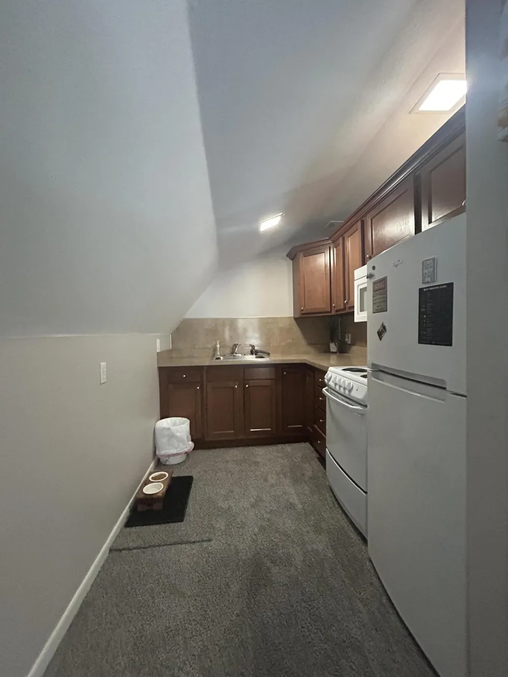 595 Rolling Meadows Drive Hudson Township, MI 49247