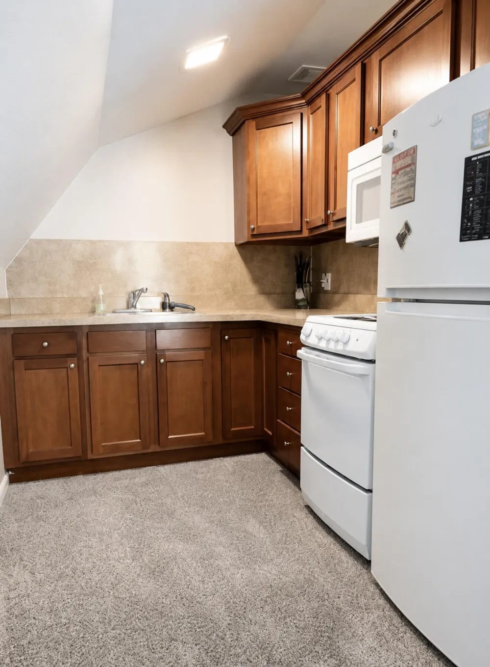 595 Rolling Meadows Drive Hudson Township, MI 49247