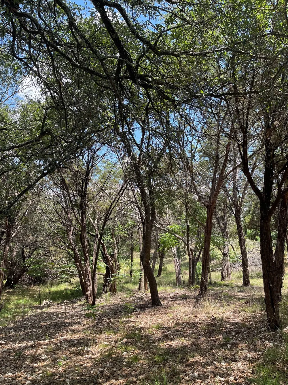 2000 Austin Hines Drive China Spring, TX 76633