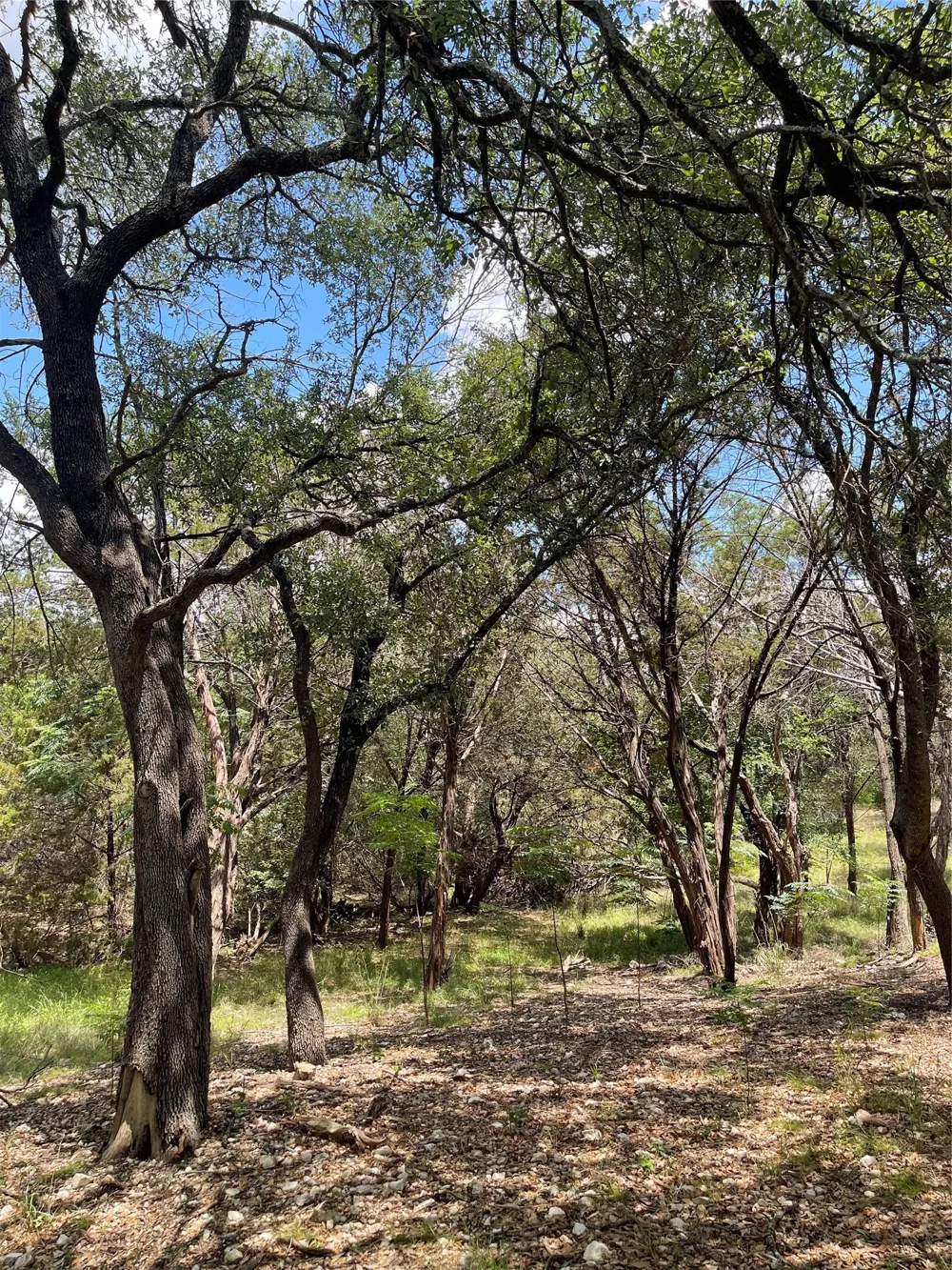 2000 Austin Hines Drive China Spring, TX 76633