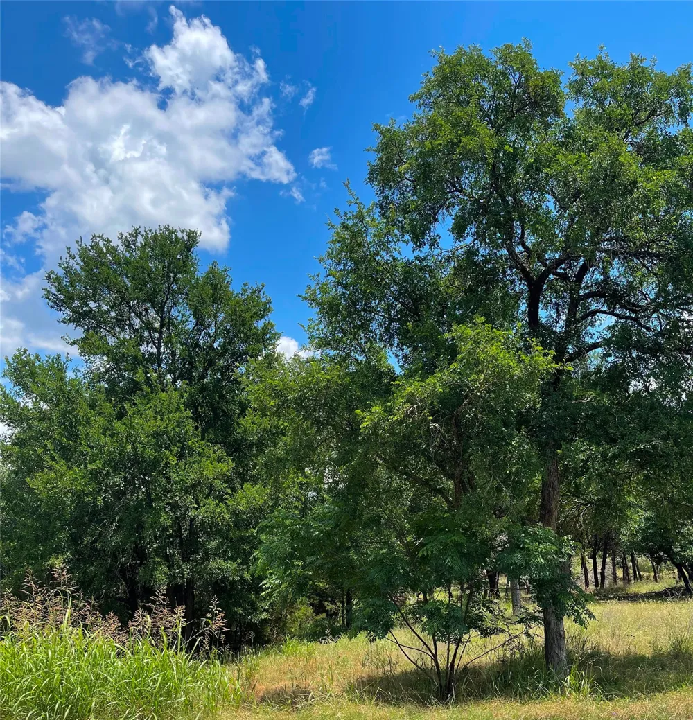 2000 Austin Hines Drive China Spring, TX 76633