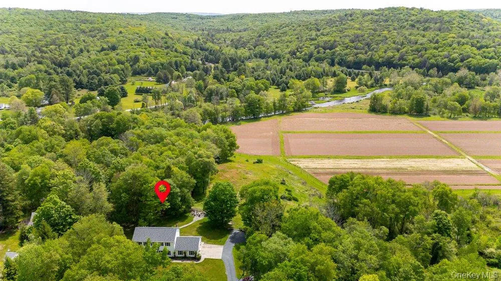 369 Grey Road South Fallsburg, NY 12779