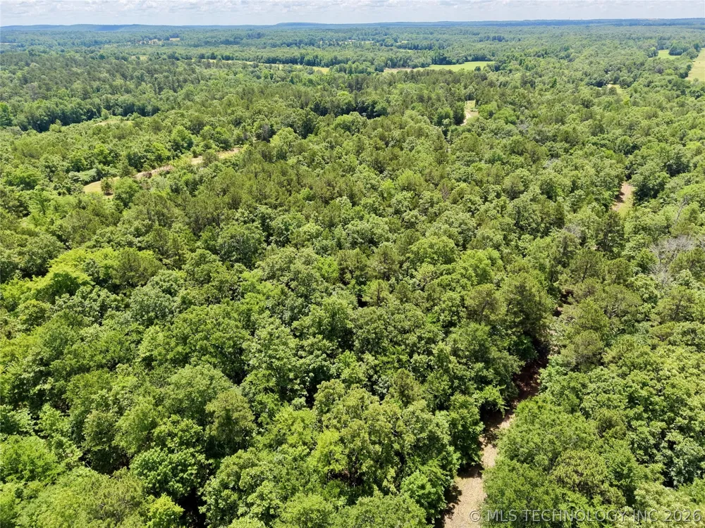 430797 E 1950 ROAD Rattan, OK 74562