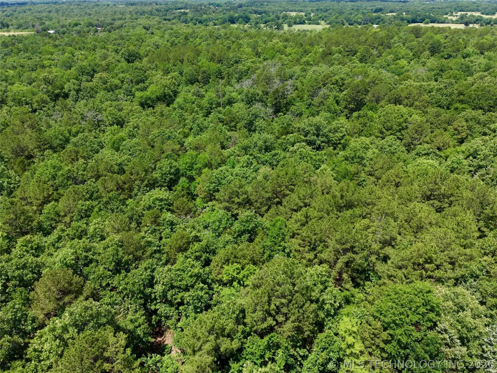 430797 E 1950 ROAD Rattan, OK 74562