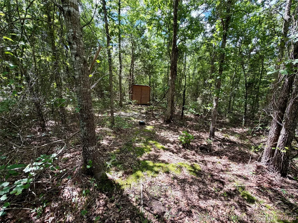 430797 E 1950 ROAD Rattan, OK 74562