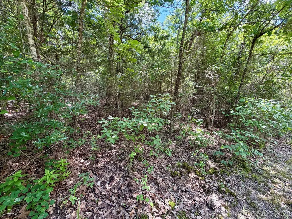 430797 E 1950 ROAD Rattan, OK 74562