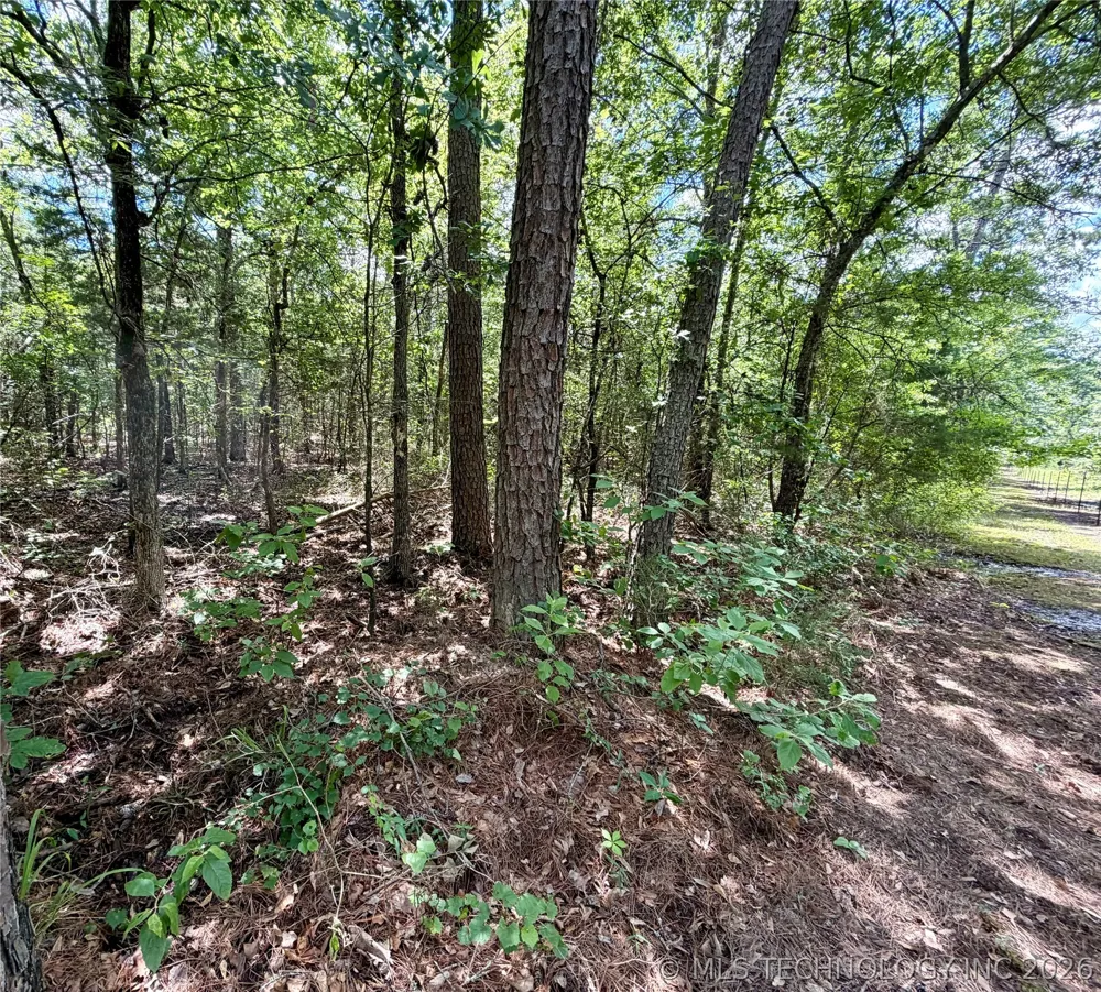 430797 E 1950 ROAD Rattan, OK 74562
