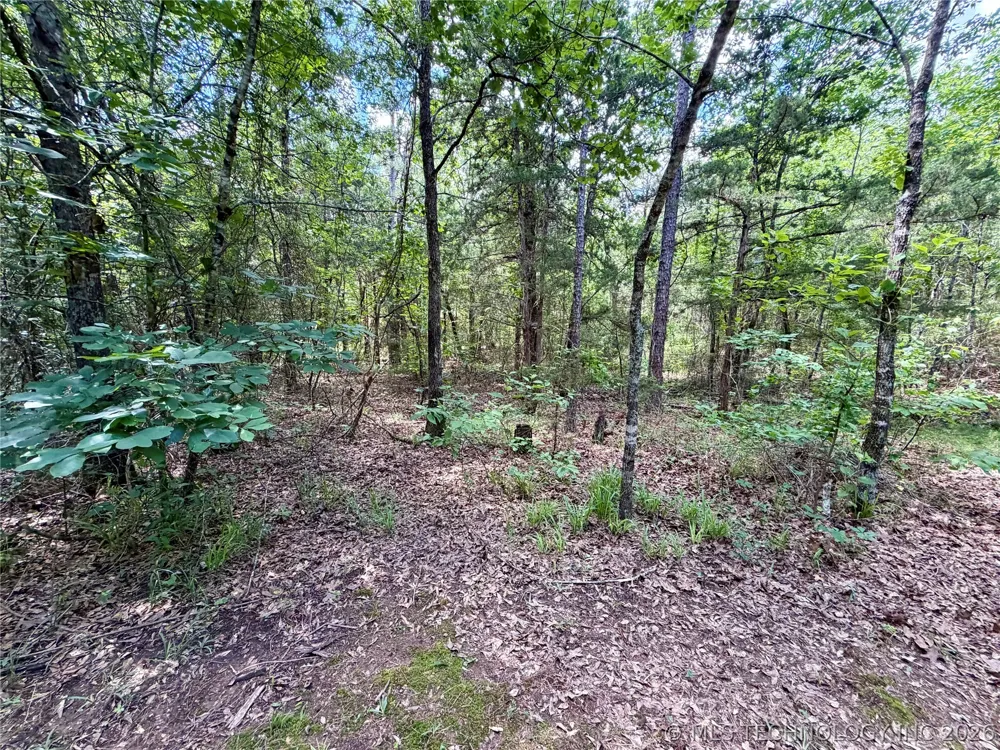 430797 E 1950 ROAD Rattan, OK 74562